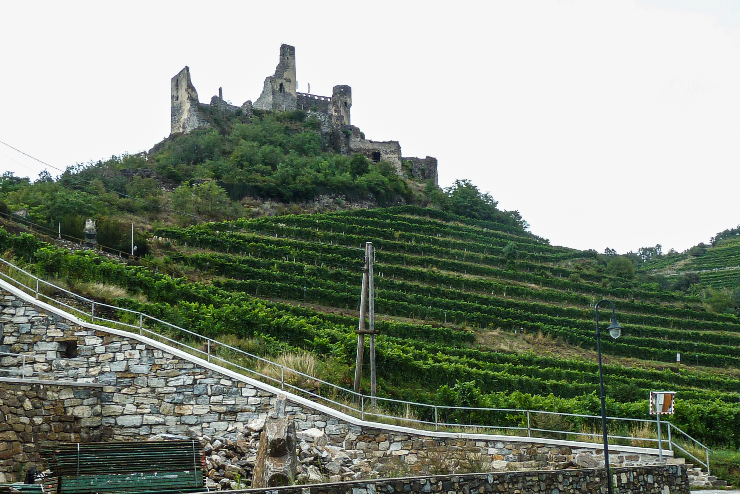 Burgruine Senftenberg über den Weinterrassen des Kremstals